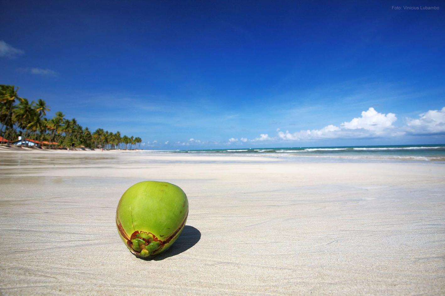Carneiros Beach Resort Praia dos Carneiros Luaran gambar