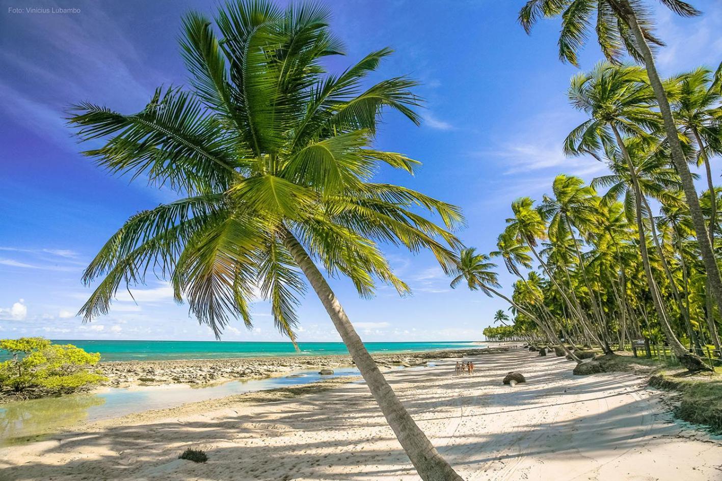 Carneiros Beach Resort Praia dos Carneiros Luaran gambar